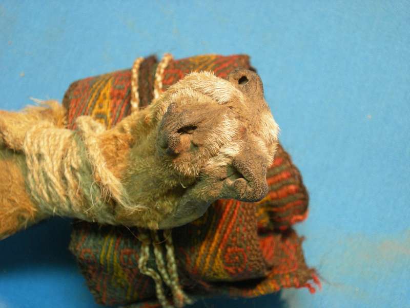 Des traces de drogues retrouvées dans une boîte rituelle sud-américain vieux de 1000 ans